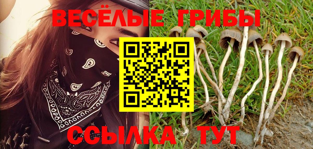 Галлюциногенные грибы прущие грибы Камень-на-Оби